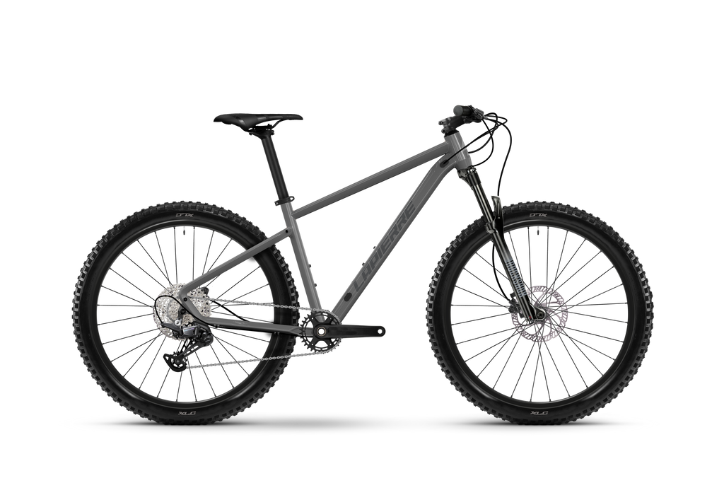VTT Lapierre Prorace 2.9 circular grey - matt&glossy 2026